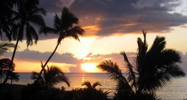 Aroha Taveuni Beachfront Bures Waiyevo Eksteriør bilde