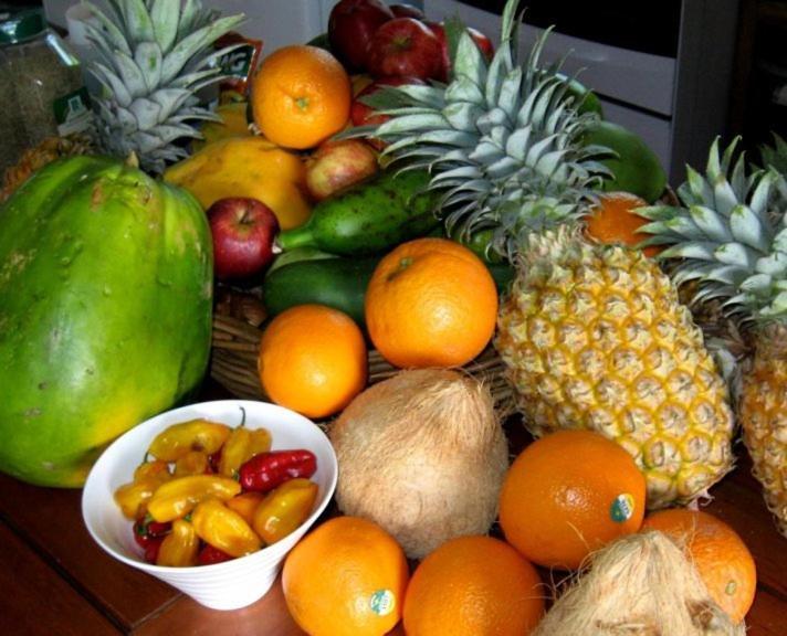 Aroha Taveuni Beachfront Bures Waiyevo Eksteriør bilde